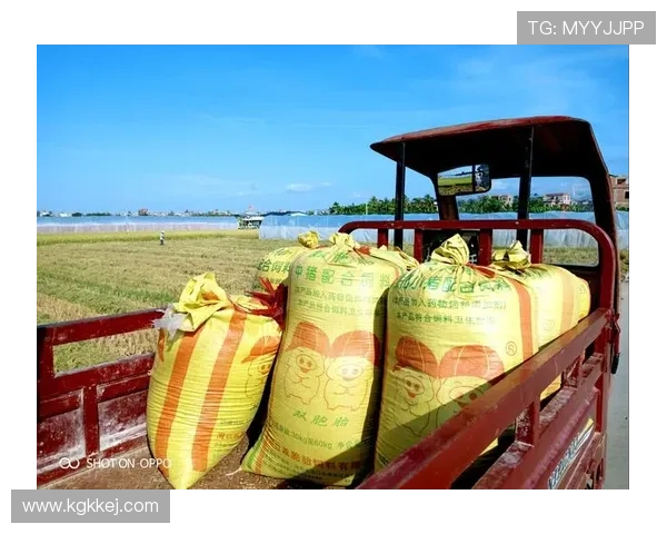 从世界羽坛历史排名看顶尖选手兴衰与时代变迁发展轨迹全貌解析